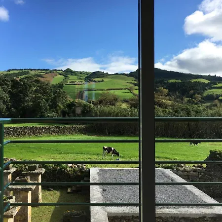 Design Nest شقة *