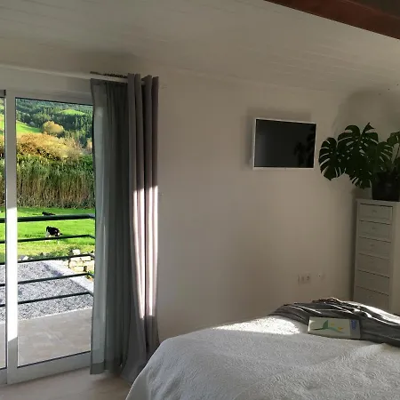 Design Nest * Várzea